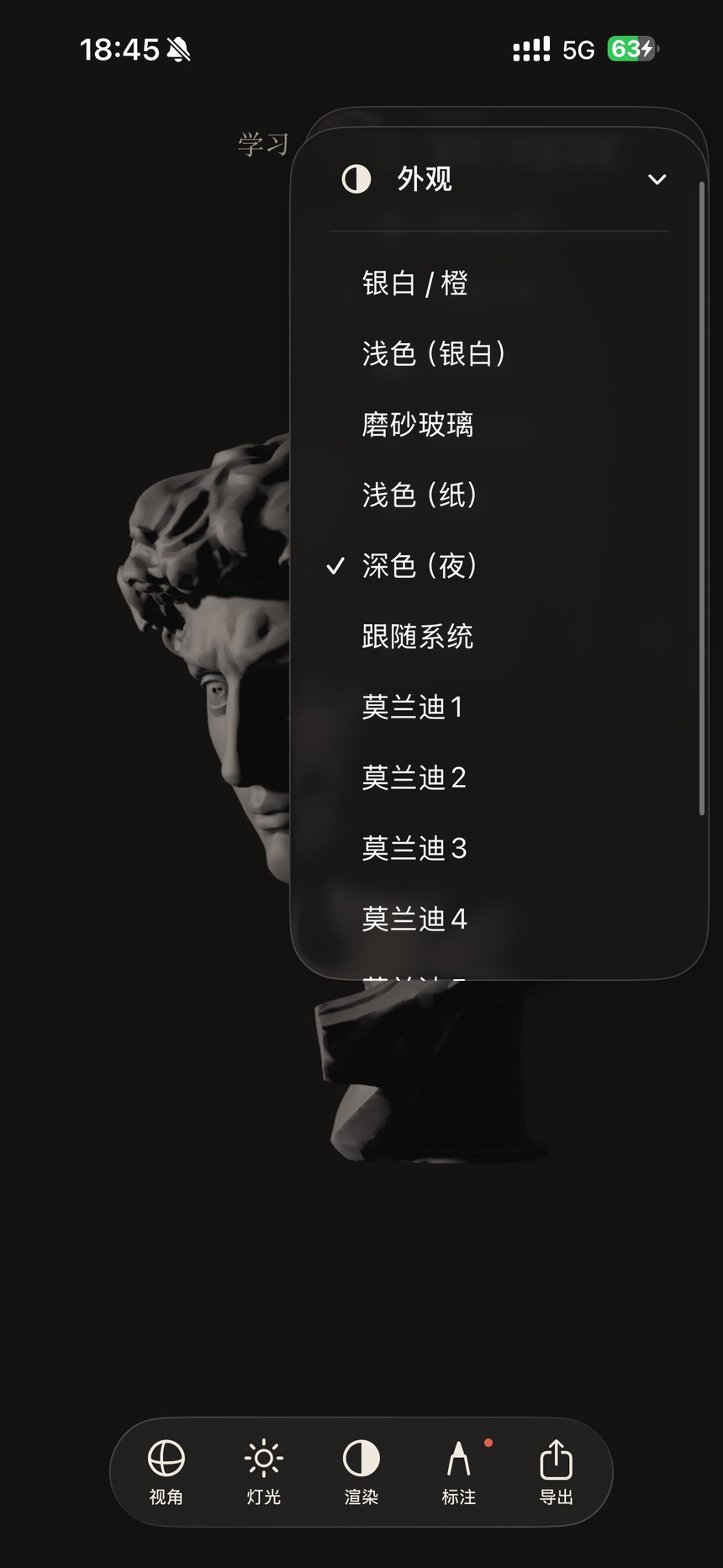 Appearance, language & control hints · Figure 29 — Chinese App interface